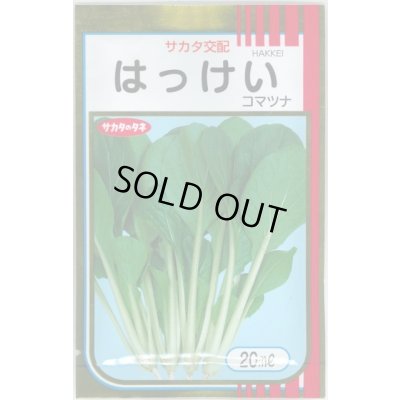 画像1: 送料無料　[小松菜]　はっけい　20ml　（株）サカタのタネ