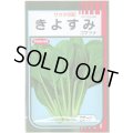 送料無料　[小松菜]　きよすみ　20ml　（株）サカタのタネ