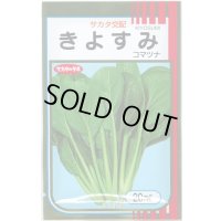 送料無料　[小松菜]　きよすみ　20ml　（株）サカタのタネ
