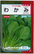 送料無料　[小松菜]　わかみ　20ml　（株）サカタのタネ