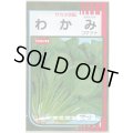 送料無料　[小松菜]　わかみ　20ml　（株）サカタのタネ