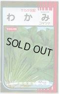 送料無料　[小松菜]　わかみ　20ml　（株）サカタのタネ