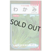 送料無料　[小松菜]　わかみ　20ml　（株）サカタのタネ