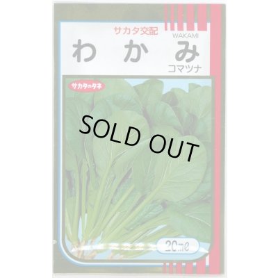 画像1: 送料無料　[小松菜]　わかみ　20ml　（株）サカタのタネ