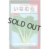 送料無料　[小松菜]　いなむら　20ml　（株）サカタのタネ