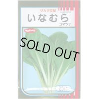送料無料　[小松菜]　いなむら　20ml　（株）サカタのタネ