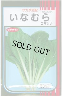 送料無料　[小松菜]　いなむら　20ml　（株）サカタのタネ