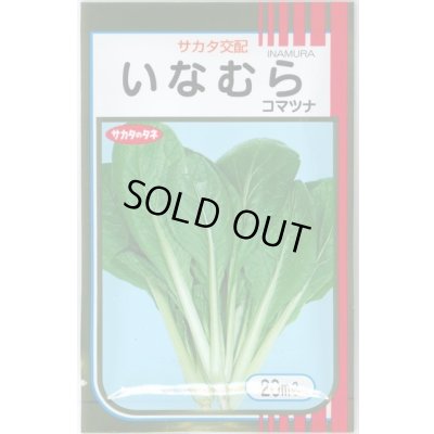 画像1: 送料無料　[小松菜]　いなむら　20ml　（株）サカタのタネ