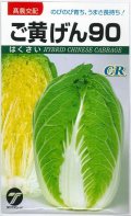 送料無料　[白菜]　ご黄げん90　小袋（約260粒）　(株)タカヤマシード