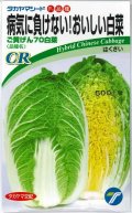 送料無料　[白菜]　ご黄げん70　小袋　(株)タカヤマシード