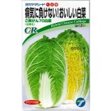 送料無料　[白菜]　ご黄げん70　小袋　(株)タカヤマシード