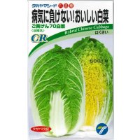 送料無料　[白菜]　ご黄げん70　小袋　(株)タカヤマシード