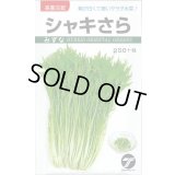 送料無料　[葉物]　水菜　シャキさら　5ml　(株)タカヤマシード