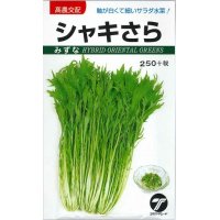 [葉物]　水菜　シャキさら　5ｍｌ　（株）タカヤマシード