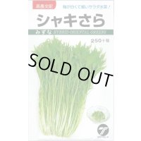 送料無料　[葉物]　水菜　シャキさら　5ml　(株)タカヤマシード