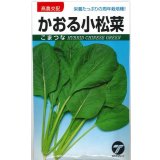 送料無料　[小松菜]　かおる小松菜　小袋　(株)タカヤマシード