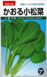 送料無料　[小松菜]　かおる小松菜　小袋　(株)タカヤマシード