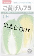 送料無料　[白菜]　ご黄げん75　10ml　(株)タカヤマシード