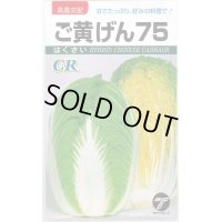 [白菜]　ご黄げん75　10ml　（株）タカヤマシード
