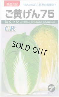 [白菜]　ご黄げん75　10ml　（株）タカヤマシード