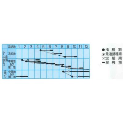 画像2: [葉物]　水菜　シャキさら　5ｍｌ　（株）タカヤマシード