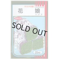 [葉物]　ハナナ　花娘　20ml　サカタ交配