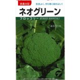 送料無料　[ブロッコリー]　ネオグリーン　小袋　(株)タカヤマシード