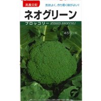 送料無料　[ブロッコリー]　ネオグリーン　小袋　(株)タカヤマシード