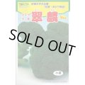送料無料　[ブロッコリー]　翠麟　小袋　トキタ種苗(株)