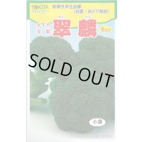 送料無料　[ブロッコリー]　翠麟　小袋　トキタ種苗(株)