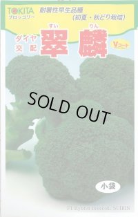 送料無料　[ブロッコリー]　翠麟　小袋　トキタ種苗(株)