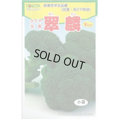 画像1: 送料無料　[ブロッコリー]　翠麟　小袋　トキタ種苗(株)
