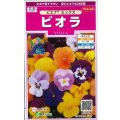送料無料　花の種　ビオラ　ピエナミックス　30粒　(株)サカタのタネ　実咲350（026133）