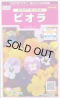 送料無料　花の種　ビオラ　ピエナミックス　30粒　(株)サカタのタネ　実咲350（026133）