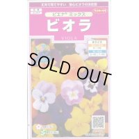 花の種　ビオラ　ピエナミックス　30粒　　サカタのタネ（株）実咲350