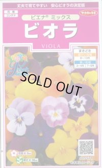 花の種　ビオラ　ピエナミックス　30粒　　サカタのタネ（株）実咲350