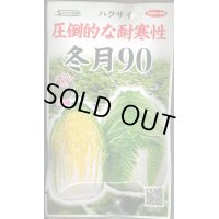 [白菜]　冬月90　ペレット150粒　サカタ交配