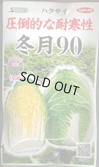 [白菜]　冬月90　ペレット150粒　サカタ交配