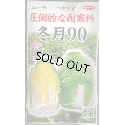 画像1: [白菜]　冬月90　ペレット150粒　サカタ交配