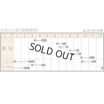 画像2: 送料無料　白菜　台湾小白菜　小袋　トキタ種苗(株)