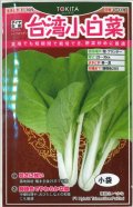 送料無料　[葉物]　白菜　台湾小白菜　小袋　トキタ種苗(株)(トキタ種苗(株))