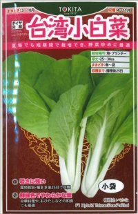 [葉物]　白菜　台湾小白菜　小袋　トキタ種苗（株）(トキタ種苗（株））