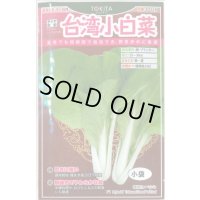 送料無料　[葉物]　白菜　台湾小白菜　小袋　トキタ種苗(株)(トキタ種苗(株))