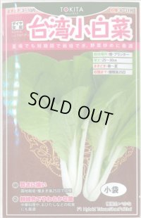 送料無料　[葉物]　白菜　台湾小白菜　小袋　トキタ種苗(株)(トキタ種苗(株))
