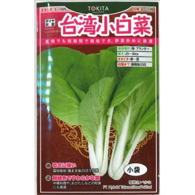 画像1: [葉物]　白菜　台湾小白菜　小袋　トキタ種苗（株）(トキタ種苗（株））