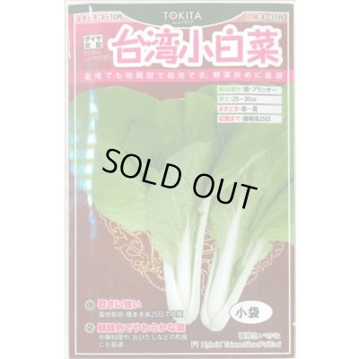 画像1: 送料無料　白菜　台湾小白菜　小袋　トキタ種苗(株)