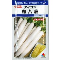 送料無料　[大根]　大根種　輝八洲　14ml　タキイ種苗(株)　DF