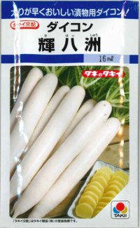 送料無料　[大根]　大根種　輝八洲　14ml　タキイ種苗(株)　DF