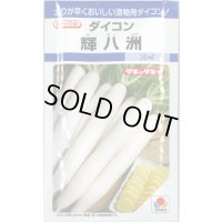 送料無料　[大根]　大根種　輝八洲　14ml　タキイ種苗(株)　DF