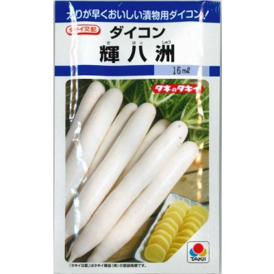 画像1: 送料無料　[大根]　大根種　輝八洲　14ml　タキイ種苗(株)　DF
